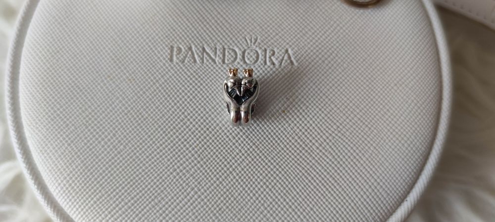 Pandora charms moments Łabedzie i serce 799315C00