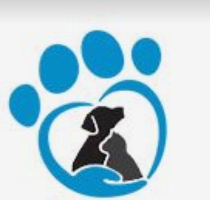 Ветеринарний лікар на дім