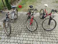 Rower rowery cena za sztuke