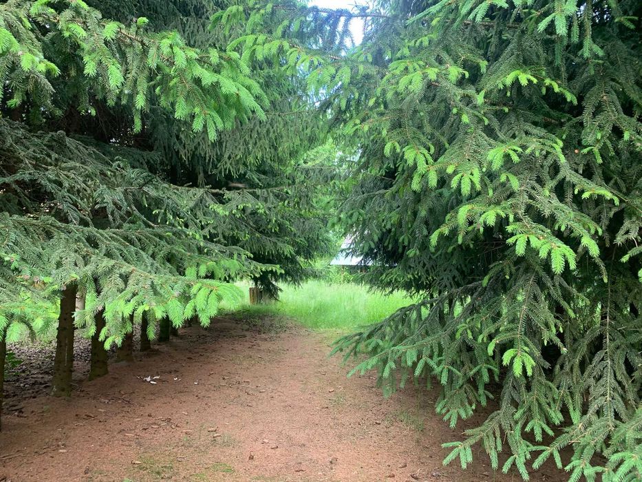 Siedlisko z gruntami ornymi