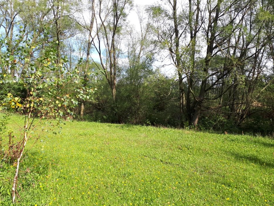 Działa budowlana nad jeziorem z Warunkami Zabudowy niedaleko Mińska M.