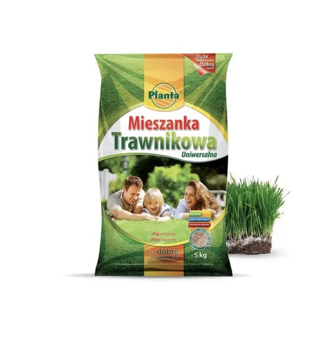 Planta super wembleyka