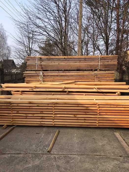 Legary modrzew syberyjski 50x70, 50x100 mm