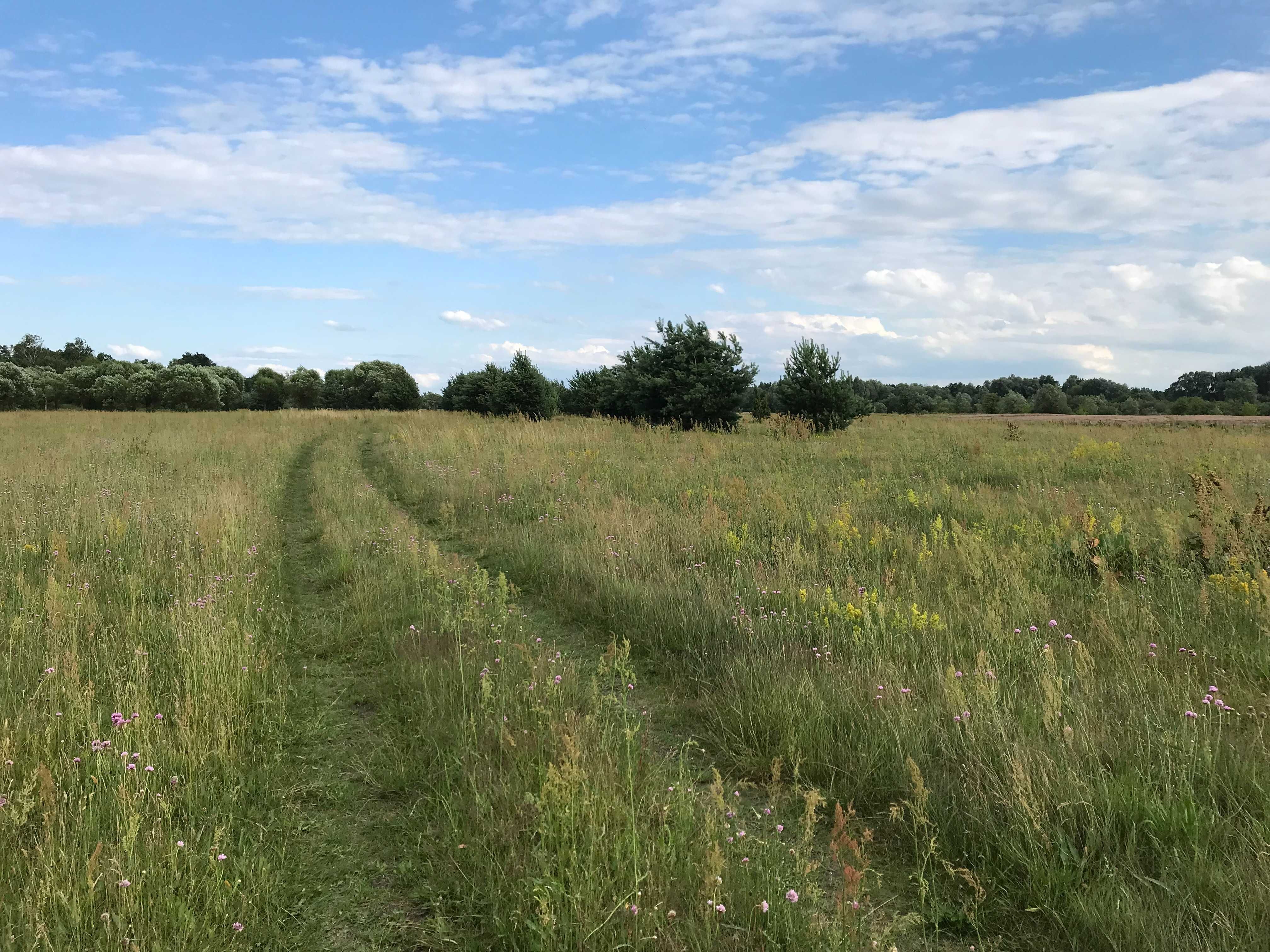 Klimatyczny domek nad Bugiem