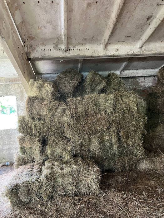 Продам сіно в тюках