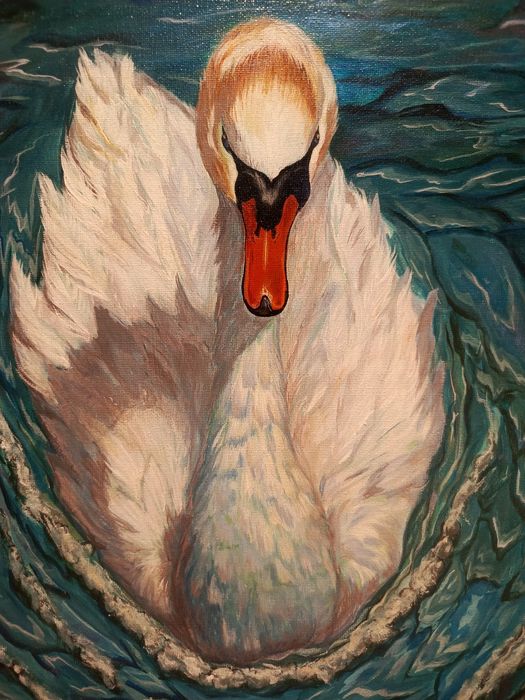 OObraz akrylowy ,, Łabądź na tafli wody"