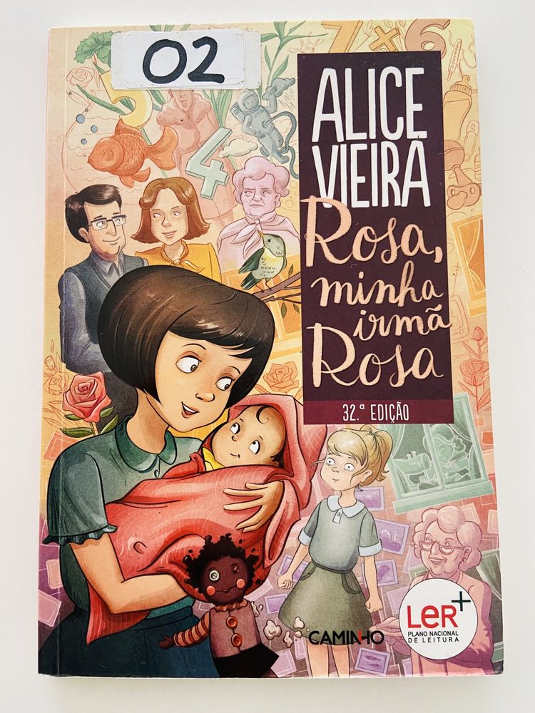 Livro - Rosa minha irmã Rosa