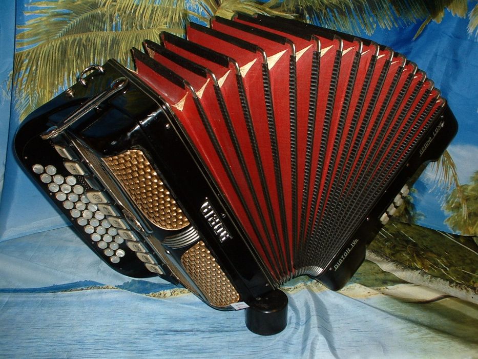 Concertina n. 71