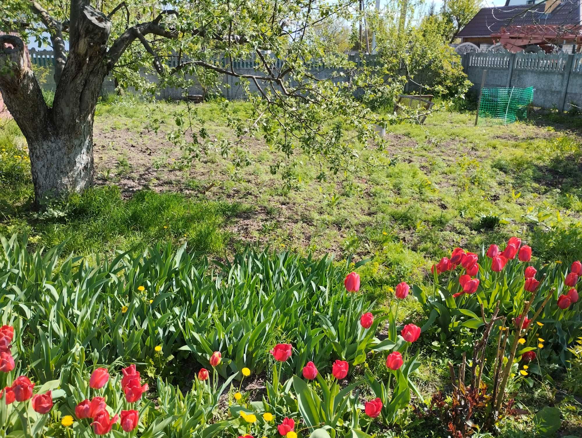 Продам будинок в м. Хорол поблизу центру