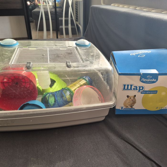 крута пропозиція! клітка для гризунів та все, що на фото