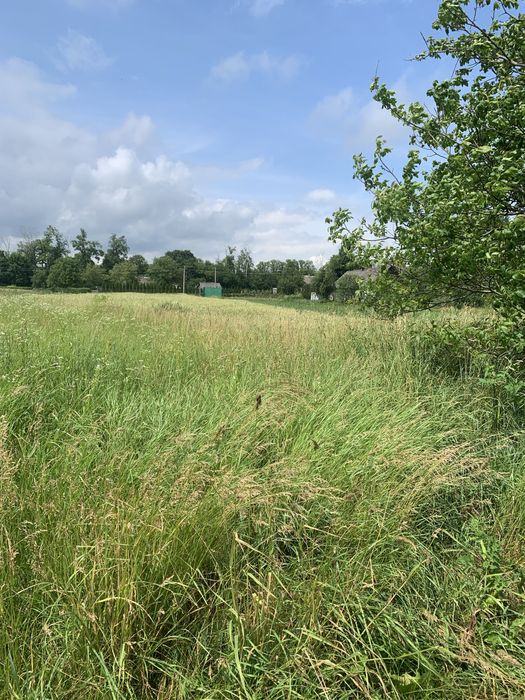 $ Продаж земельної ділянки в с. Грушвиця Друга