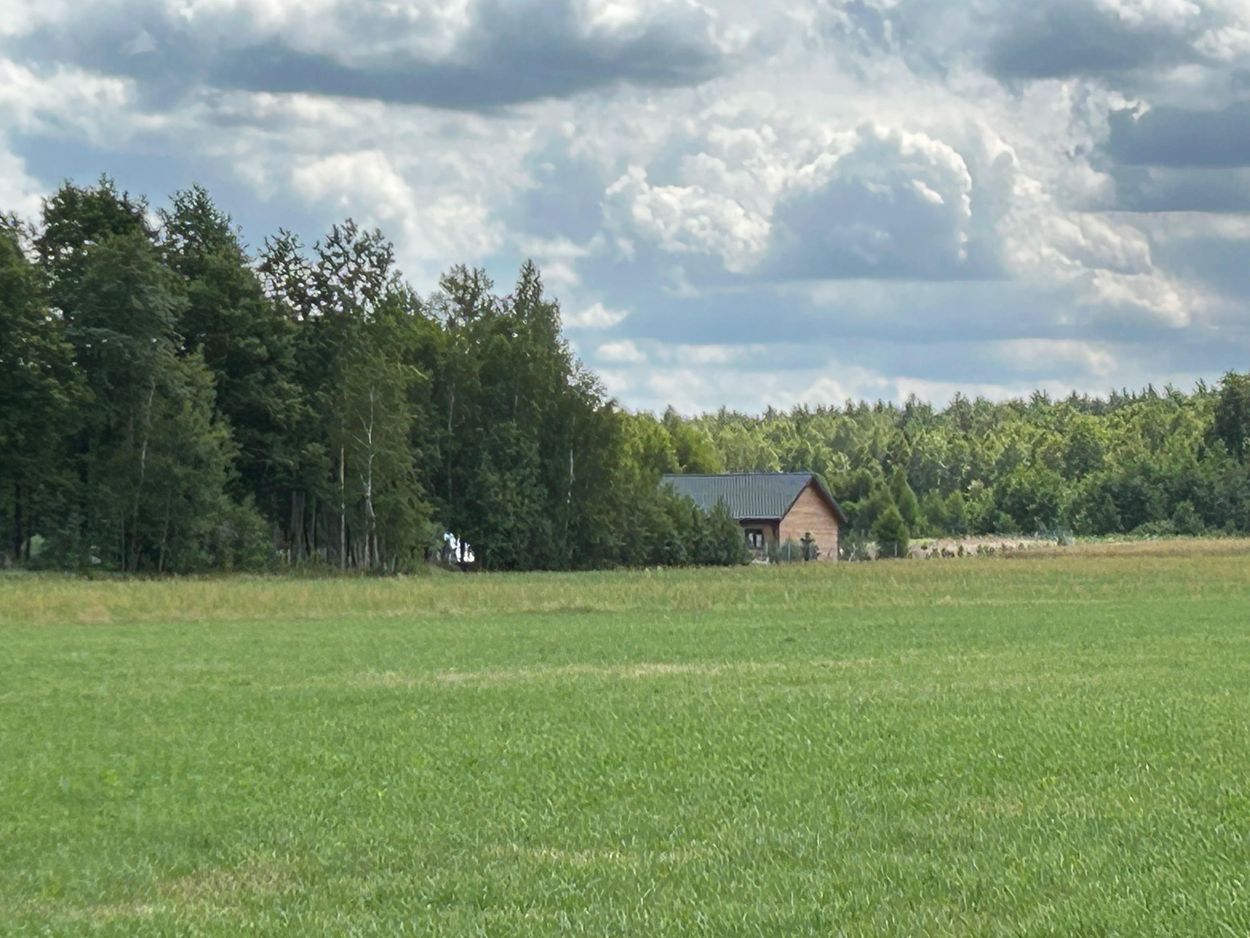 Działka budowlana/letniskowa Sokołowo Włościańskie