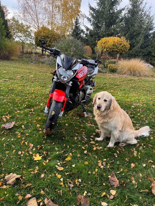 Sprzedam Aprilia Shiver 750 – Stan bardzo dobry!