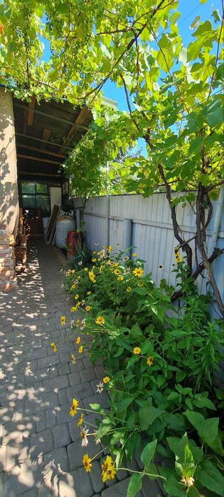 Садовий будинок у районі Цегельного Заводу