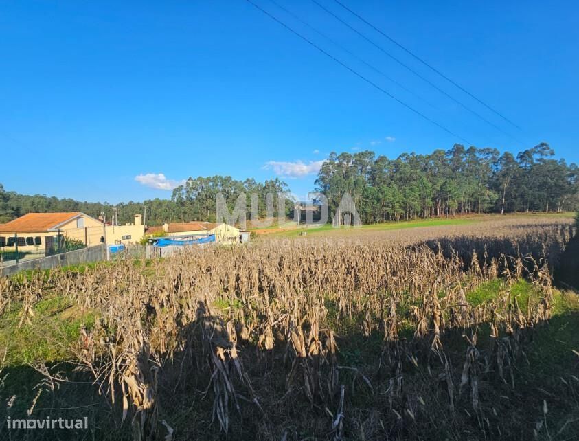 Terreno Rústico para venda em Beduído, Estarreja