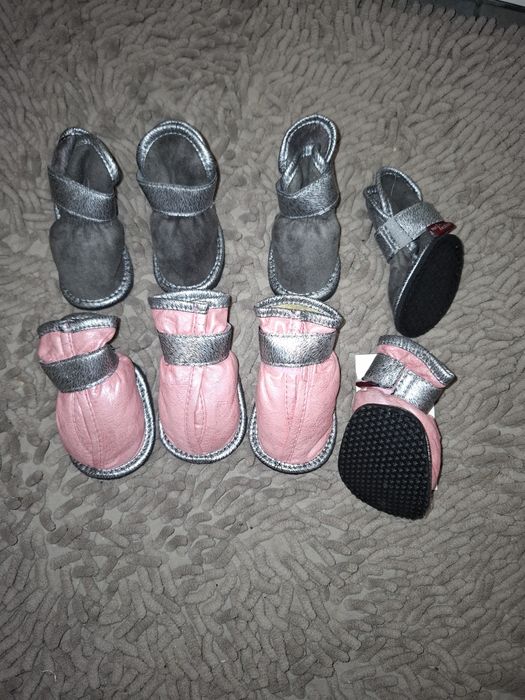 Взуття для собак дрібних порід нове