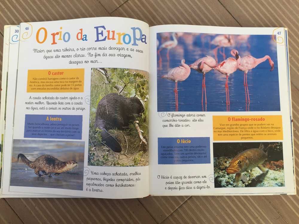 Livro infantil - A Minha Enciclopédia dos Animais