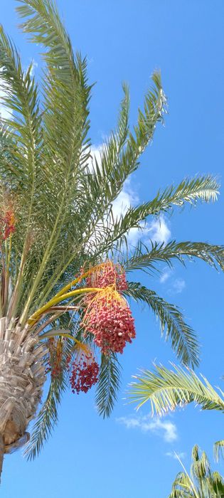 Angielski dla dzieci