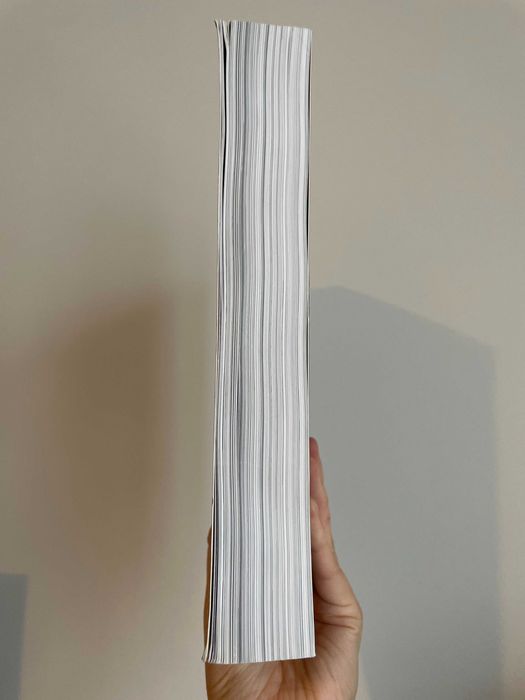 JavaScript and JQuery - Duckett Jon