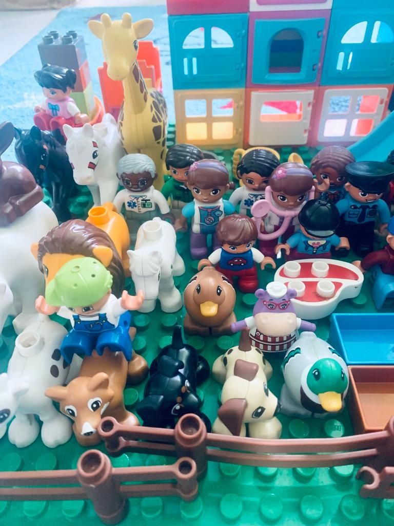 LEGO Duplo różne rodzaje klocków