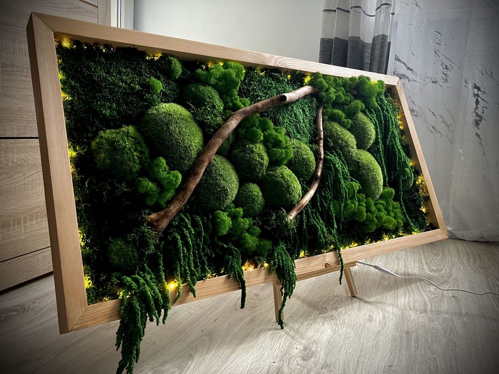 Obraz z mchów stabilizowanych 100 x 50cm do biur firm dekoracja mech