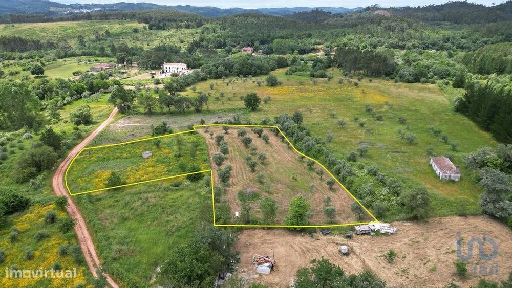 Terreno Agrícola em Espinhal