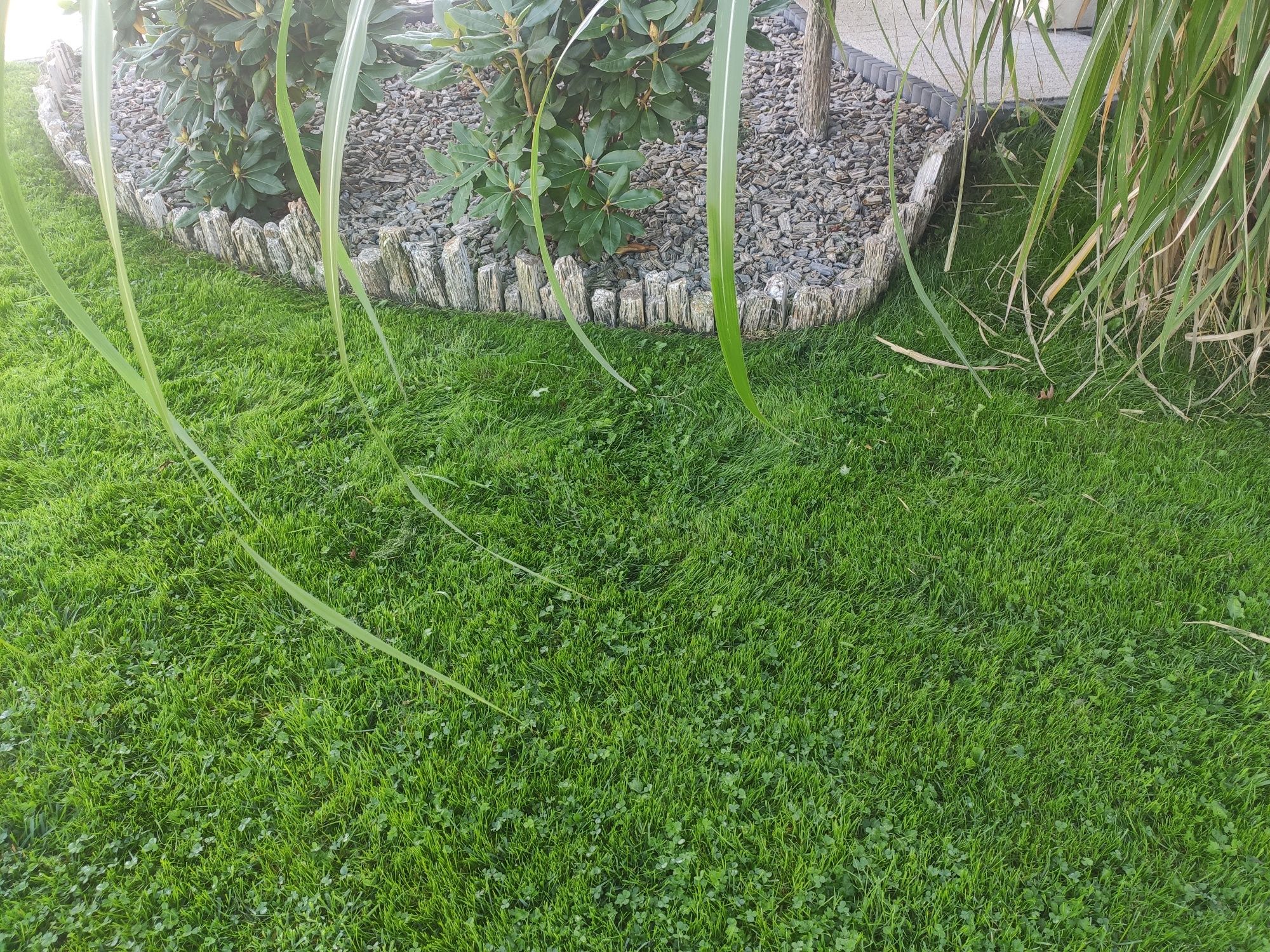 Obrzeża palisady gnejsowe palisada gnejs szpilki obrzeże kamienne