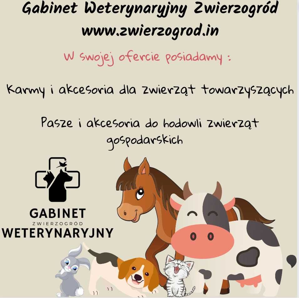 VetAnimal Diaro Vet 500 g Stop Biegunce Gołąb