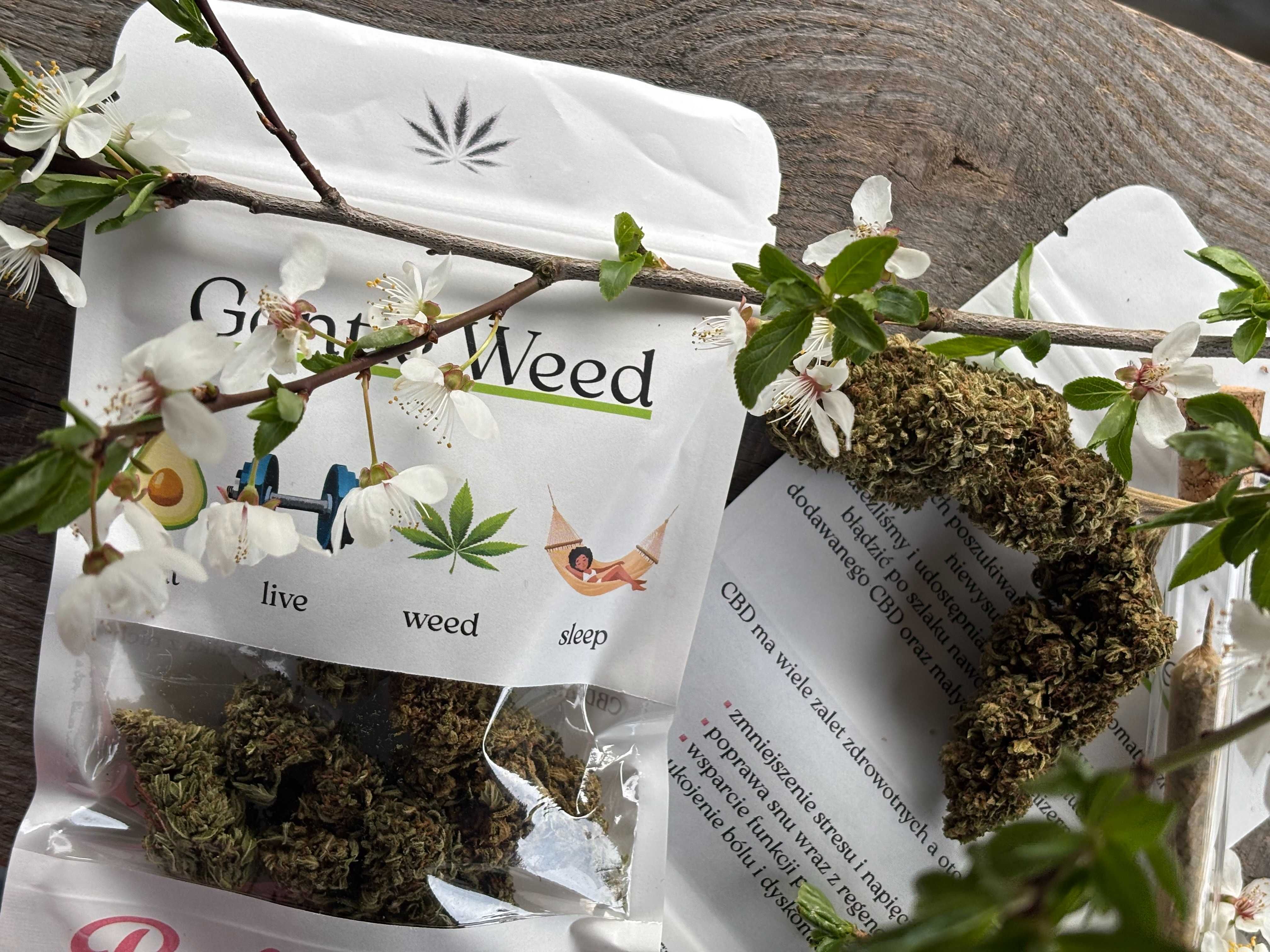 blant, joint CBD susz Bubblegum 15%