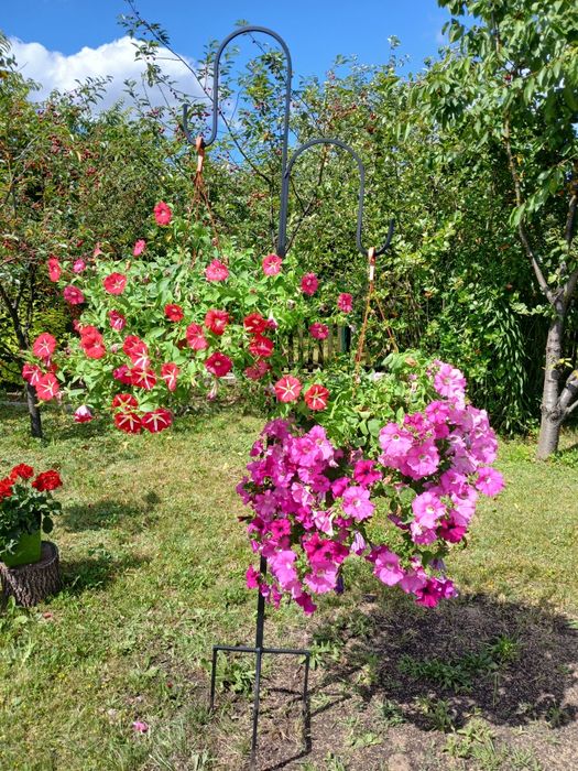 Wieszak na kwiaty ogrodowy podwójny.