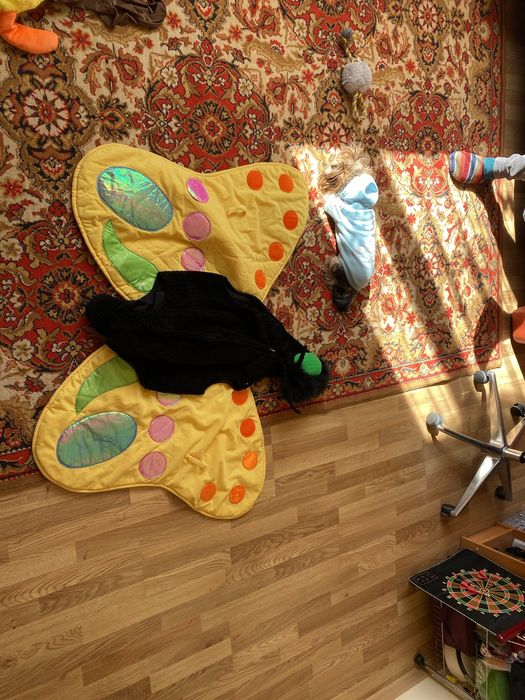 Для школярів/ костюм метелика