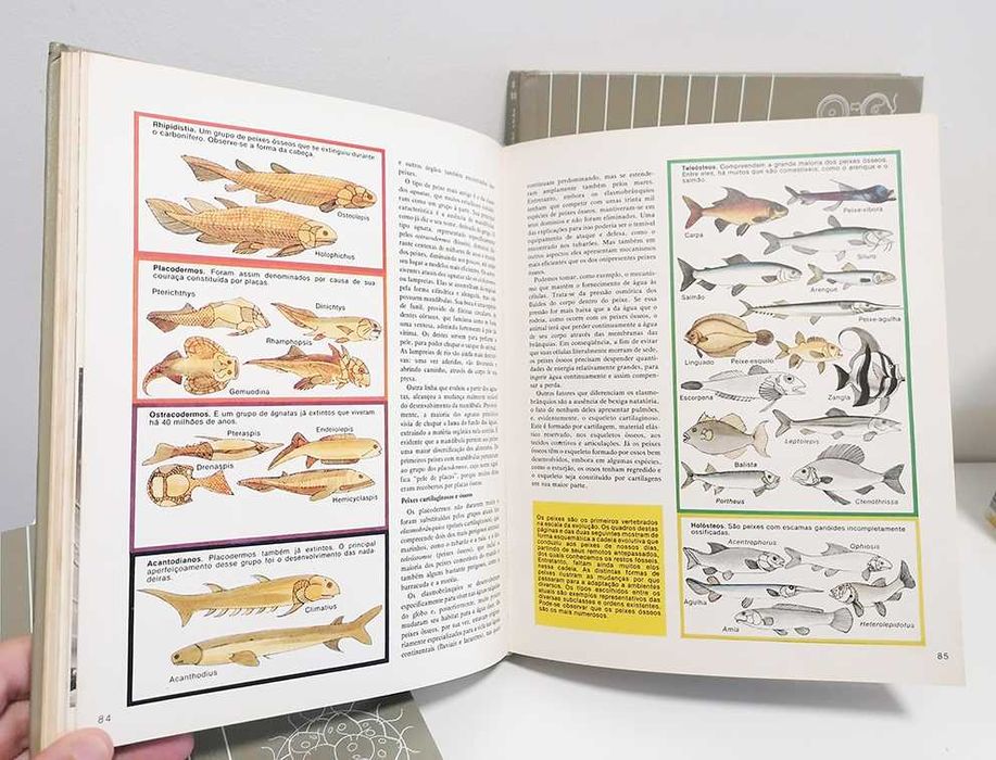 Biologia, Zoologia, Botânica - As Chaves da Vida (3 volumes)