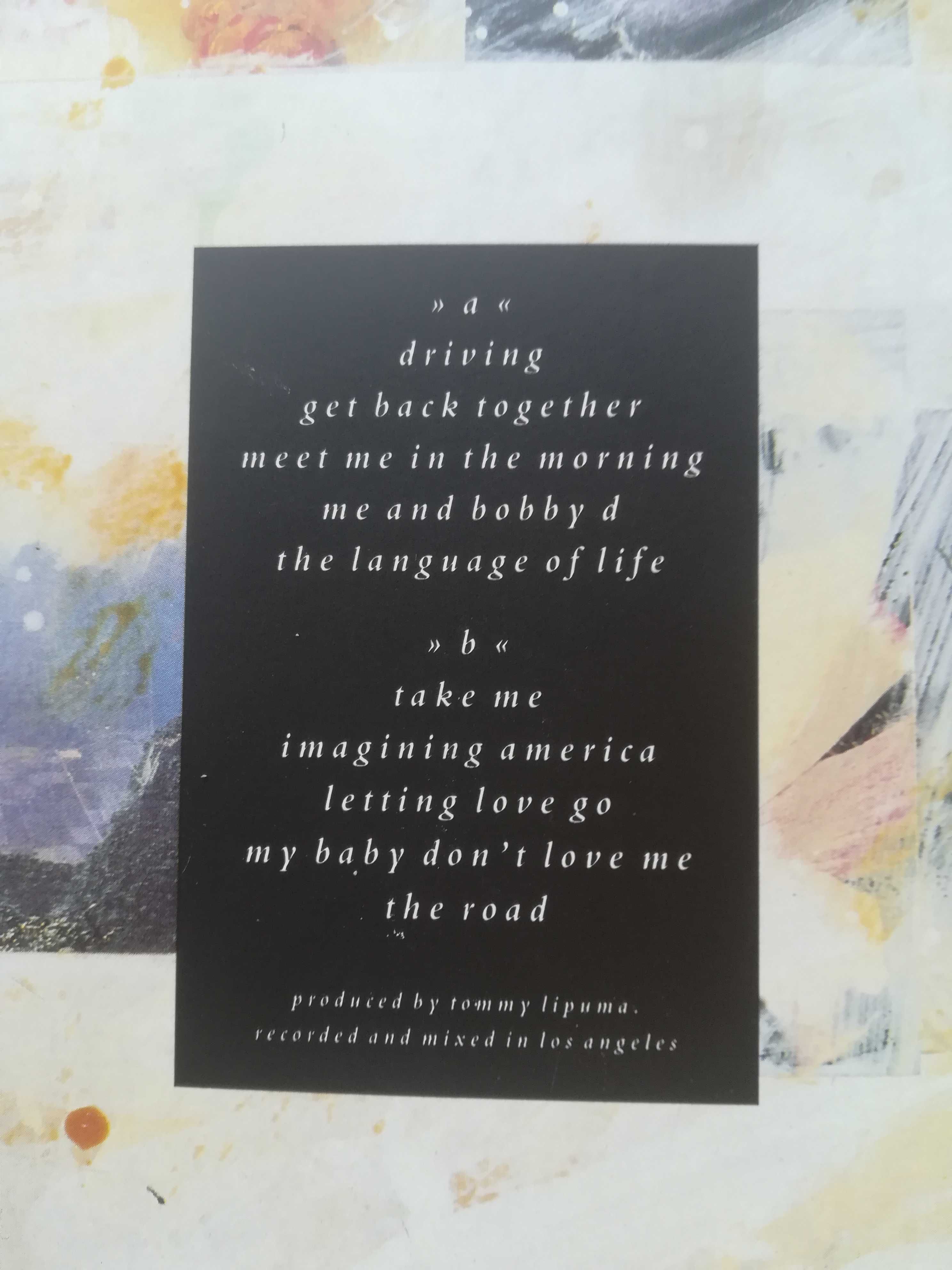 Lp Everything but the girl - the language of life