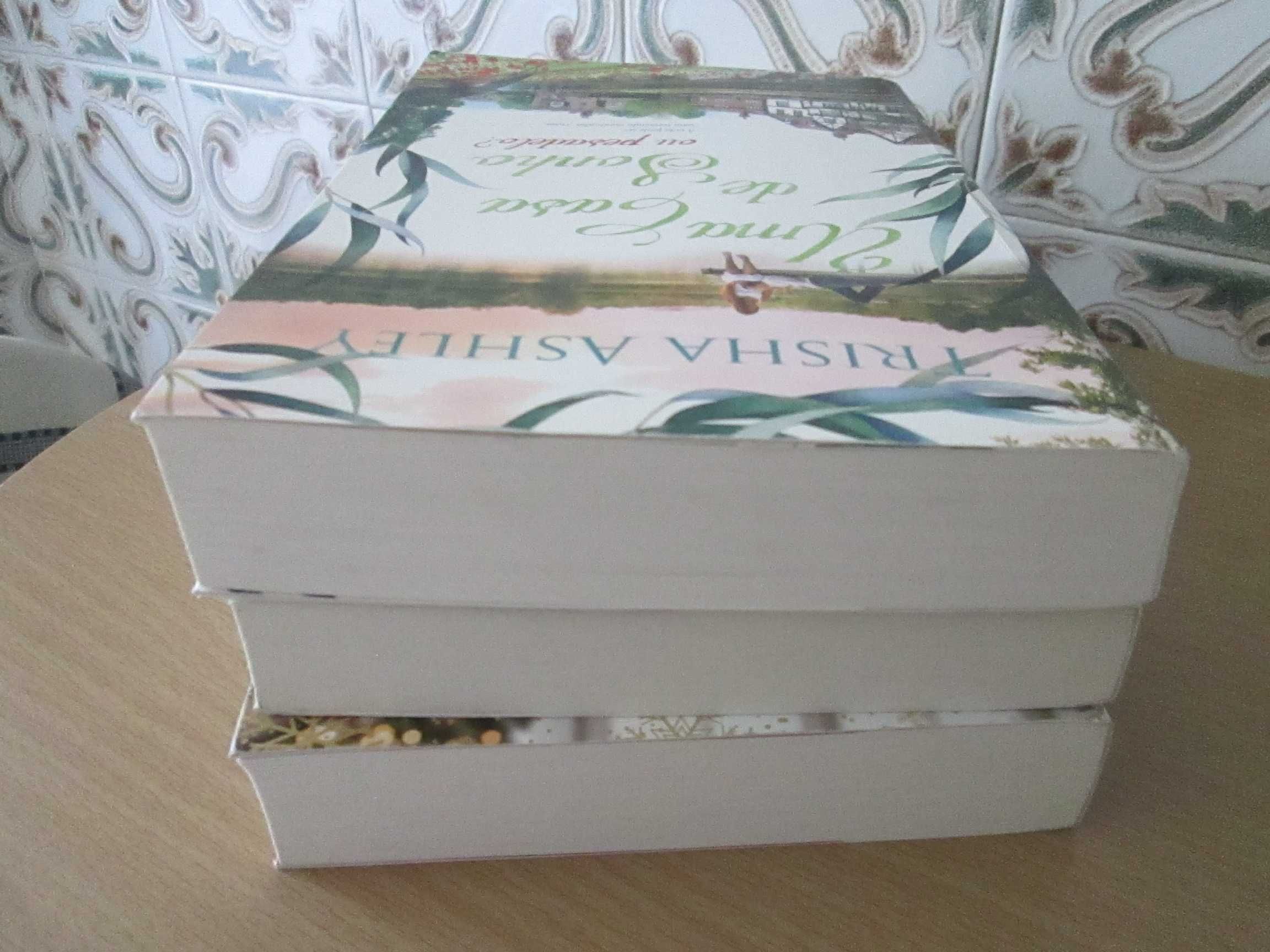 Livros Trisha Ashley (Oferta portes)