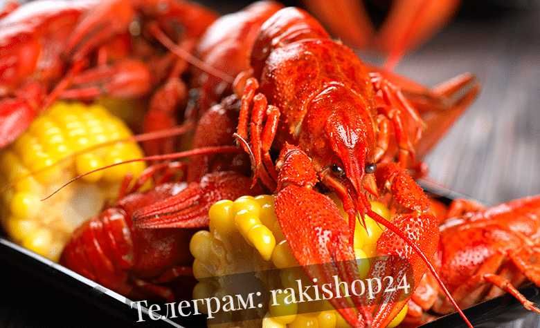 РАКИ з ікрою. Живі та варені. Доставка.