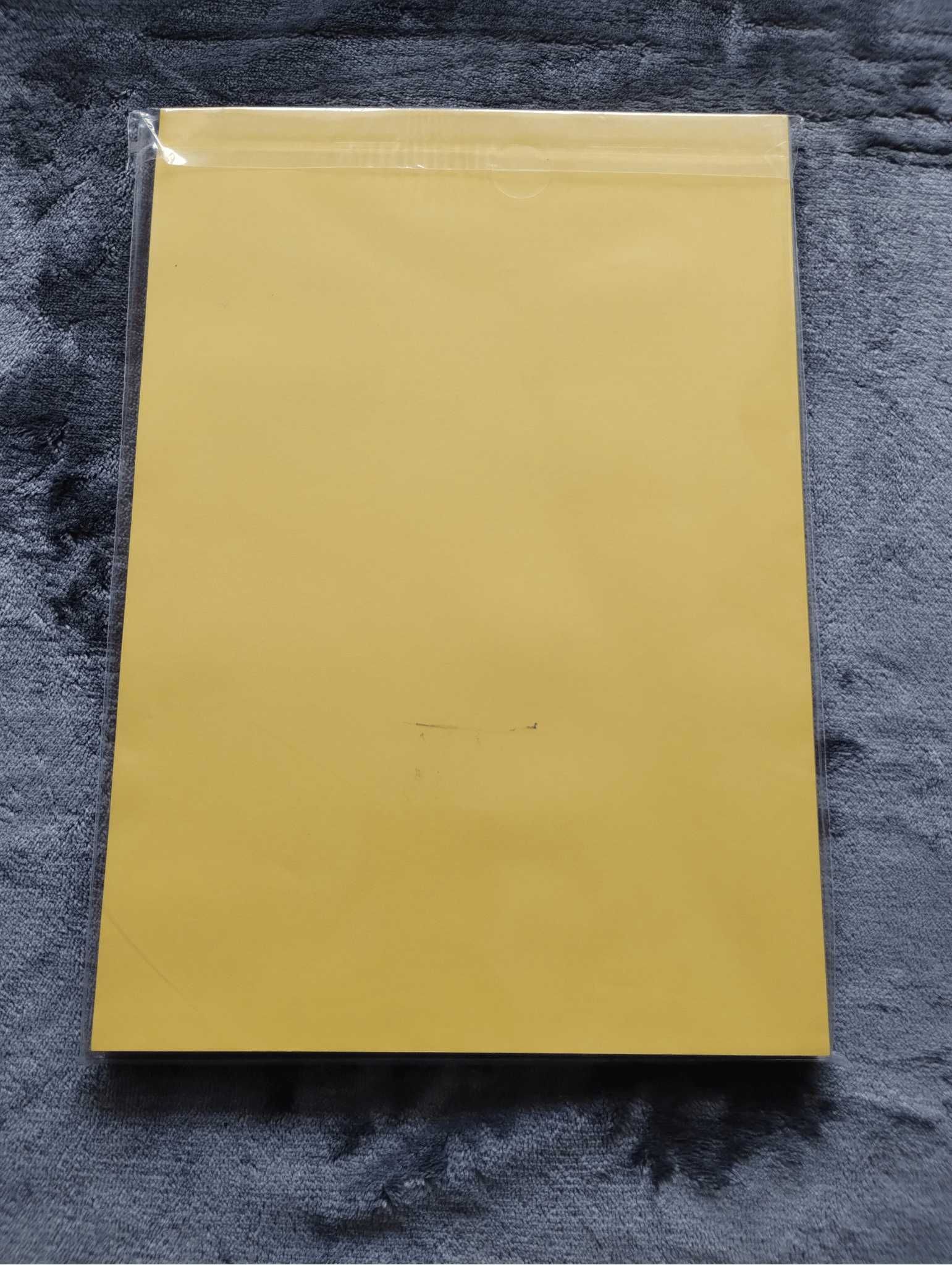 Papier xero color, A4, 80 g/m2, 100 arkuszy, 5 kolorów, Interdruk.Nowy