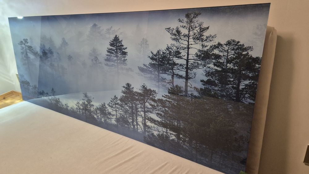 Obraz szklany poranek las 160x60cm