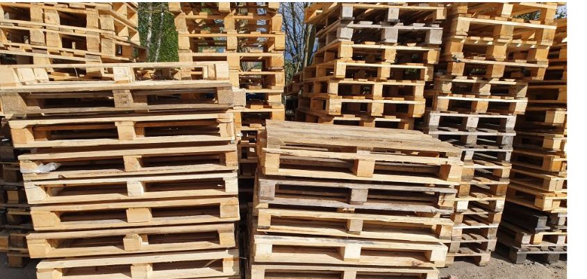 Palety 120 x 80 cm w cenie 22 zł/szt