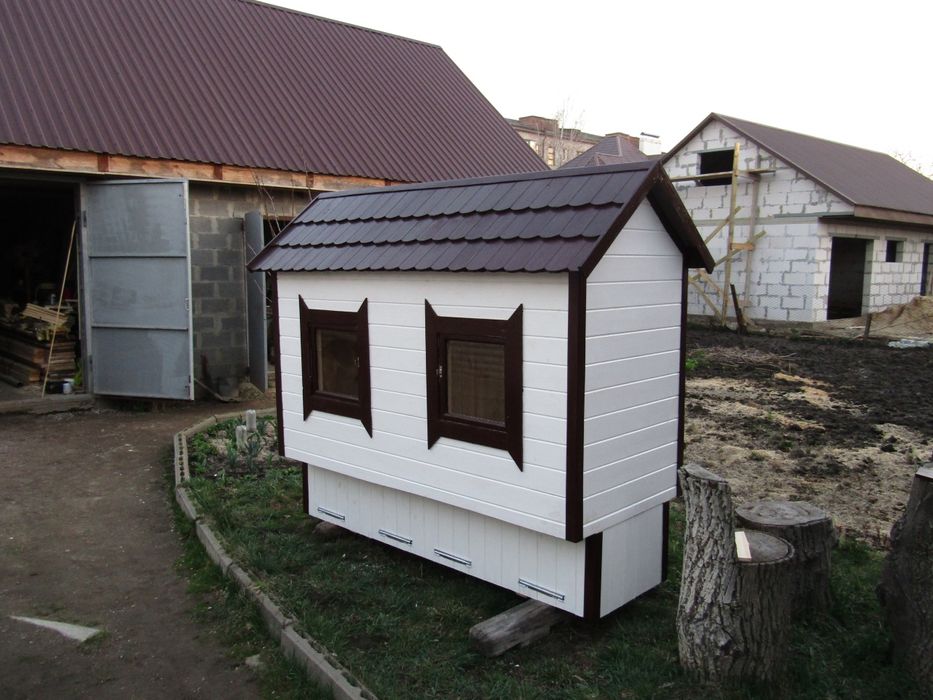 Сон на бджолах. Апібудинок. Апидомик