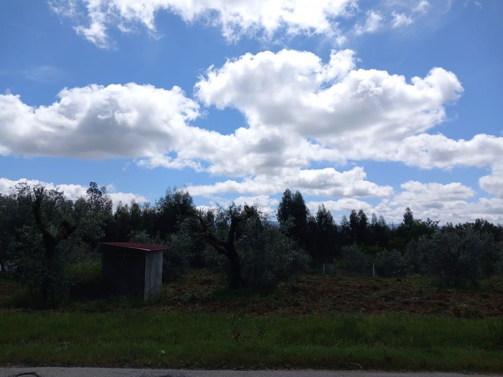 Vendo terreno com bons acessos N17