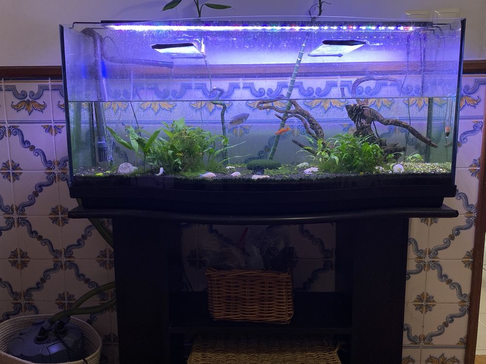 Aquario mais de 100 litros