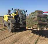 Trawnik z rolki PLANTACJA POZNAŃ / trawa w rolce/ trawa/ plantacja