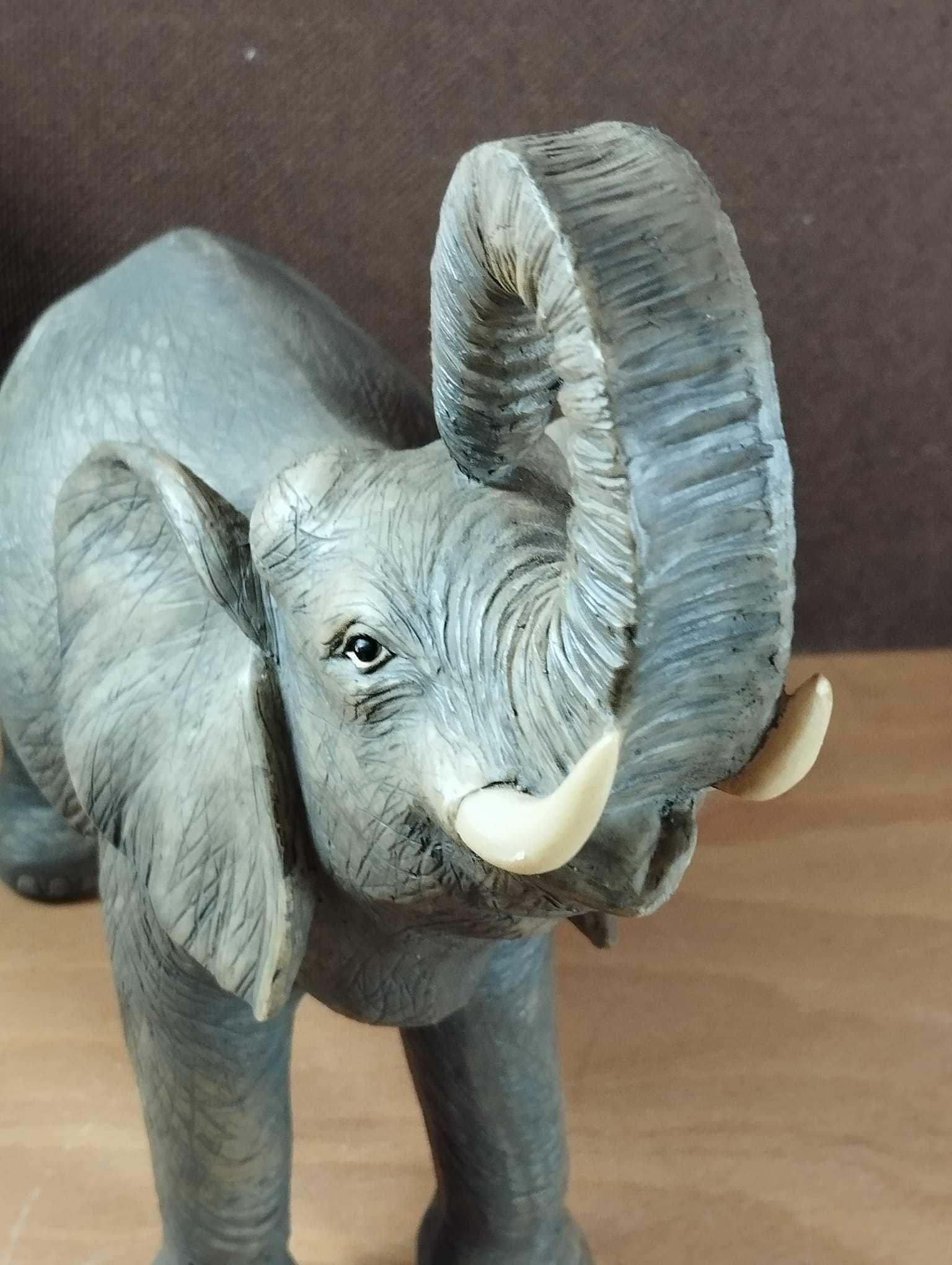 Elefante com Grande Detalhe