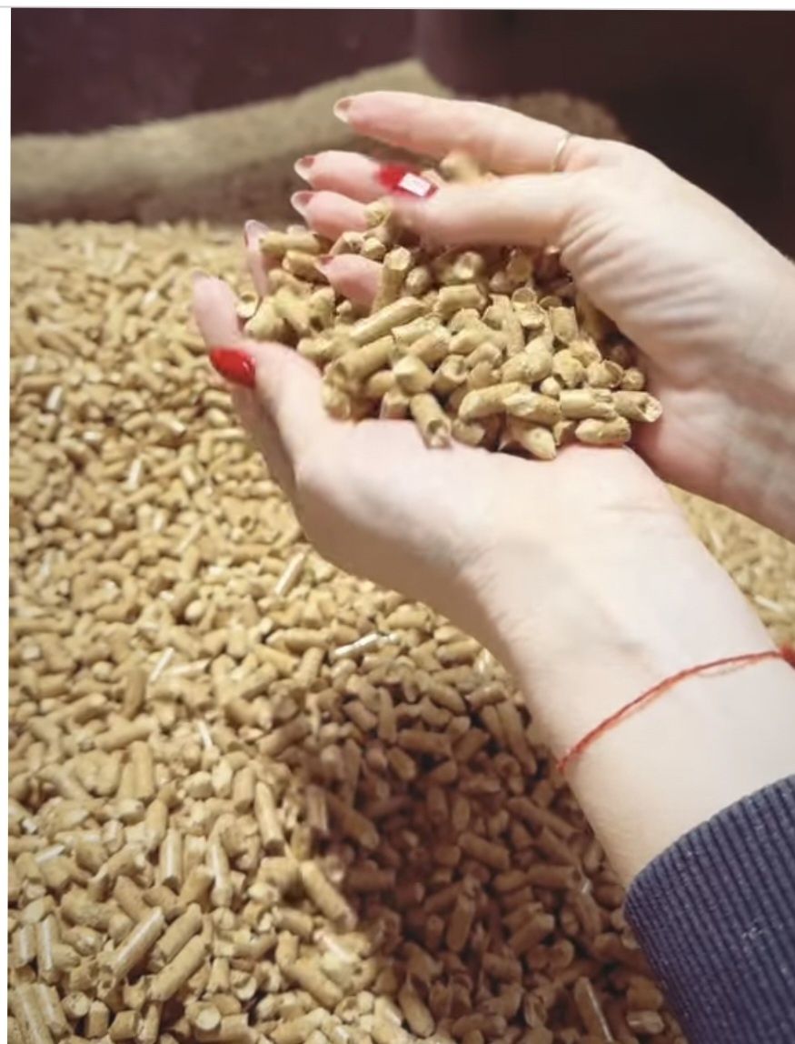 Brykiet dębowo bukowy pellet
