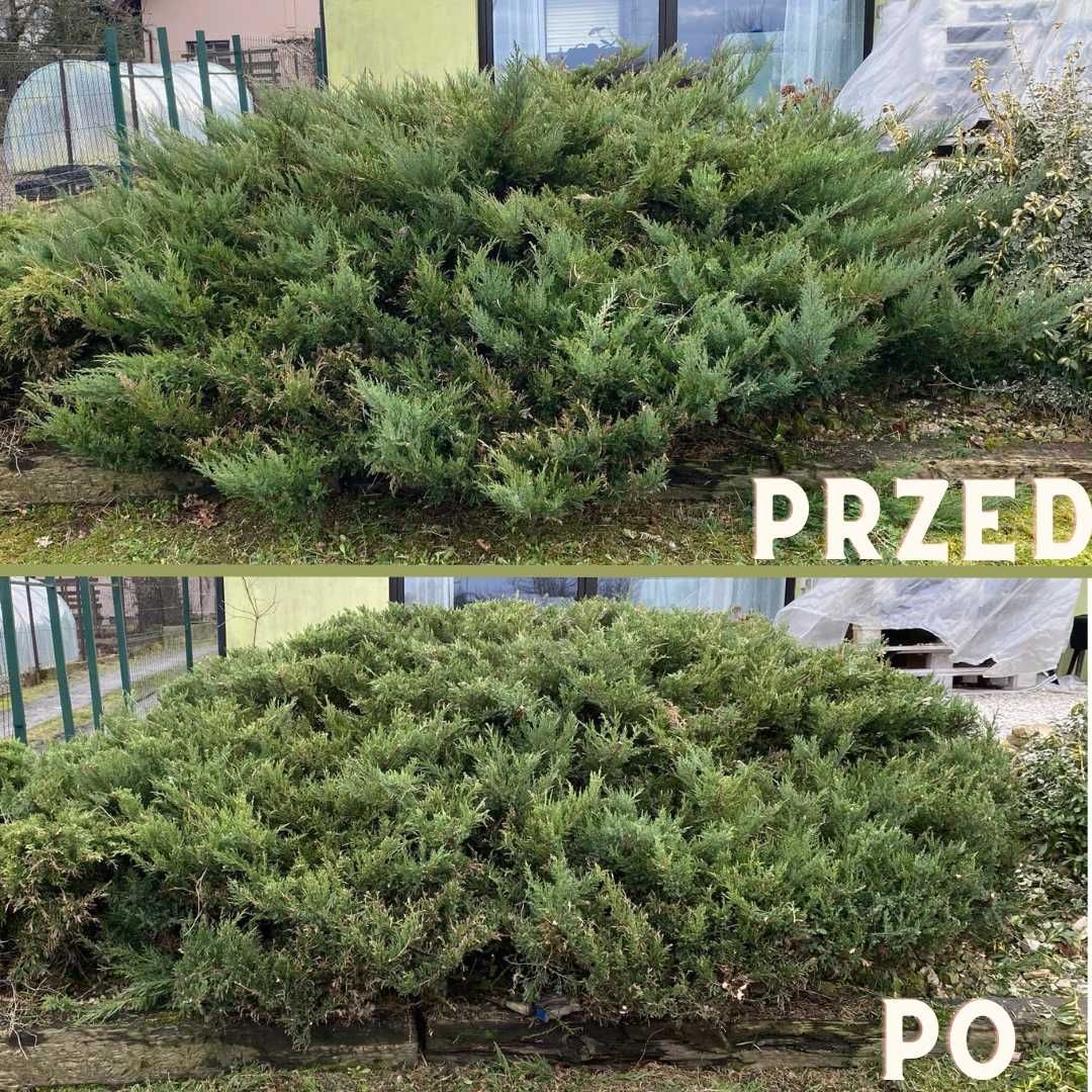 Przycinanie Krzewów, Drzew, Żywopłotów, Usługi ogrodnicze, formowanie