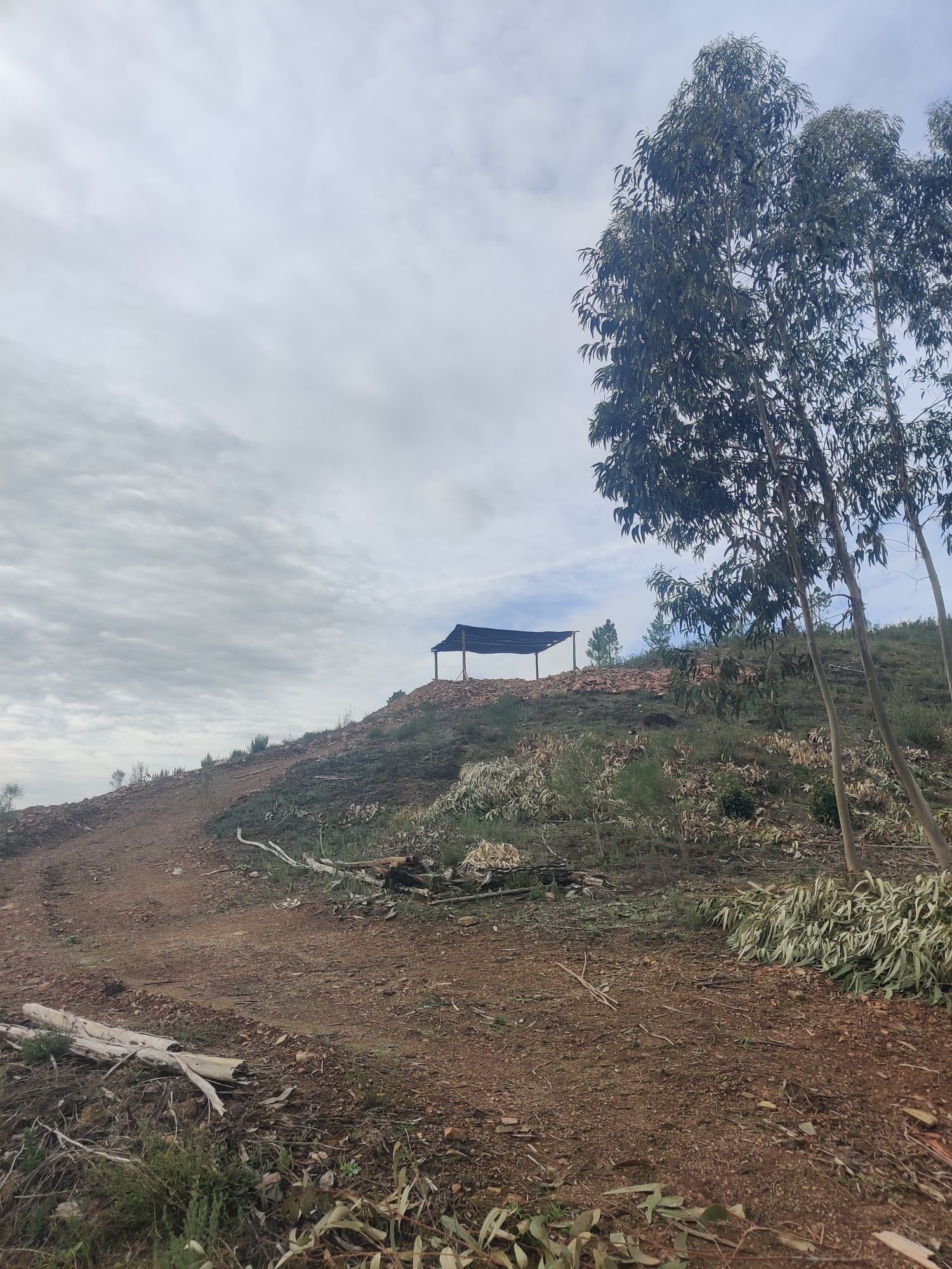 Terreno Rústico 5000m2