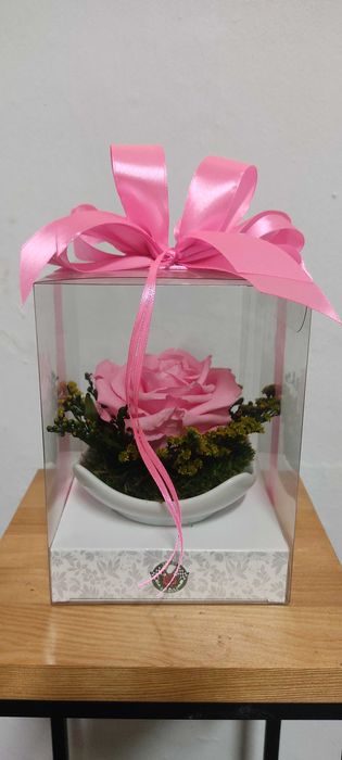 Róża wieczna w kolorze różowym