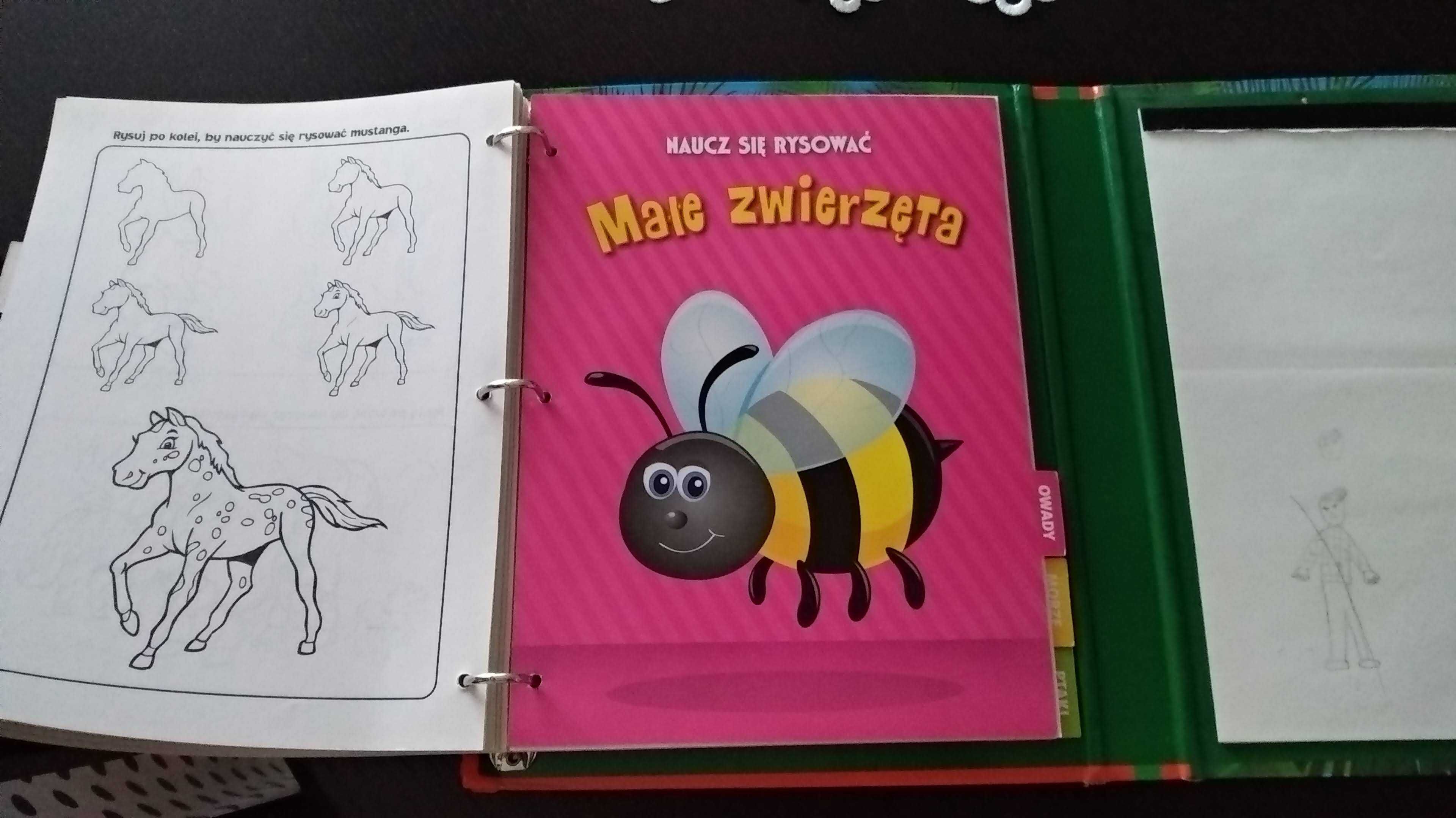 Jak rysować zwierzęta. Zabawne rysunki dla dzieci w każdym wieku