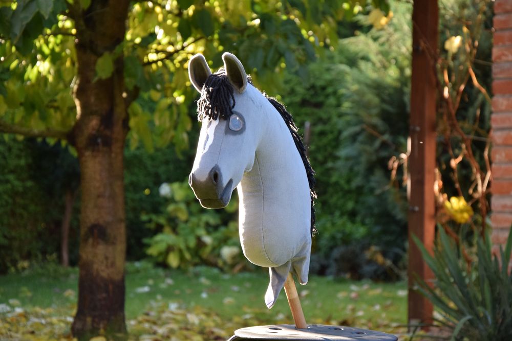 hobby horse koń na kiju