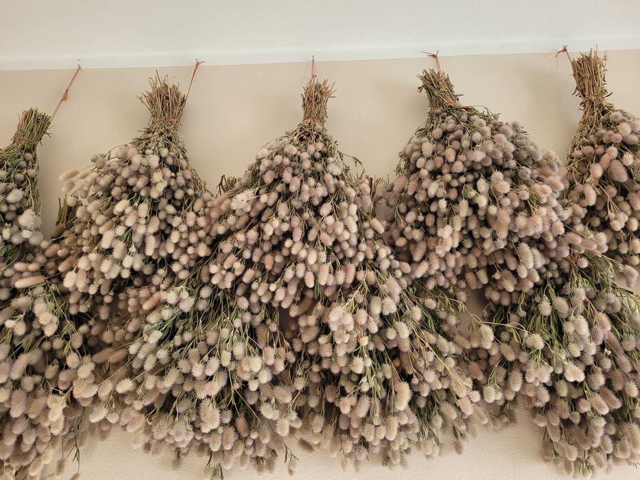 Pęczki suszone bukiety kwiaty / trawy ozdobne / boho